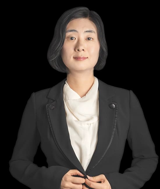 회계감리, 회계감사전문 정경옥변호사