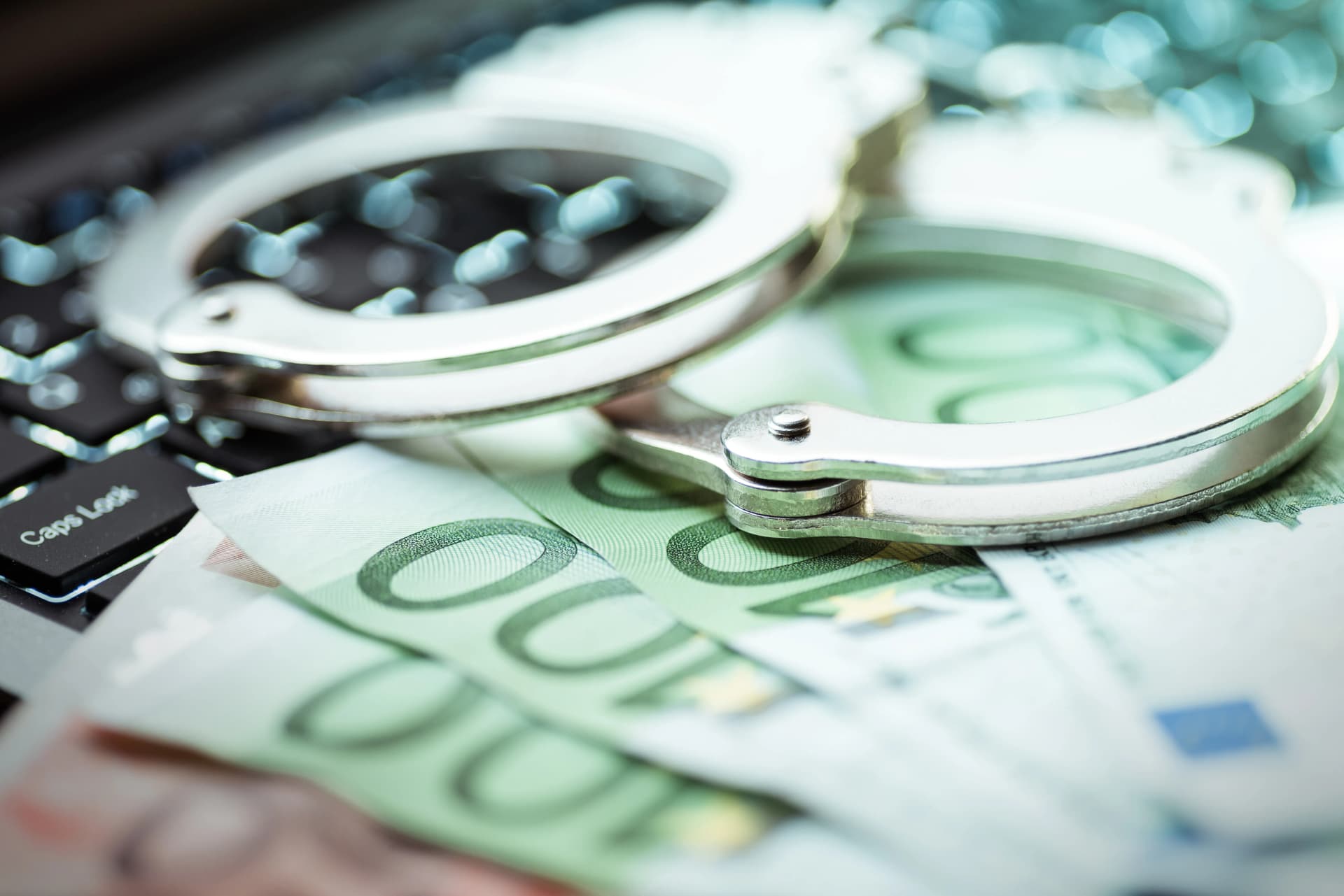 회계감리 형사소송 절차 개요 업무 분야